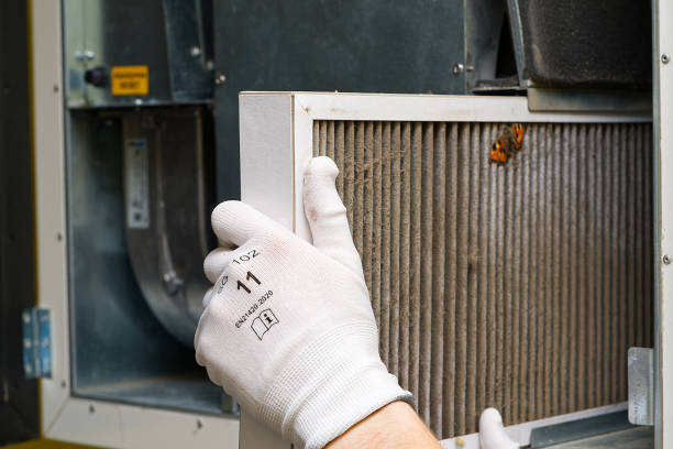 Affordable HVAC Duct Cleaning in IL